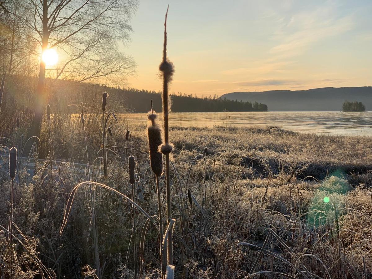 Kullerbacka Gaesthus Segersta
